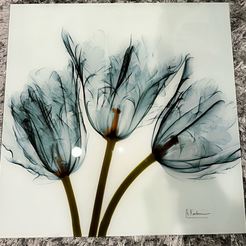 24x24 Glass/Acrylic Tulip Wall Art